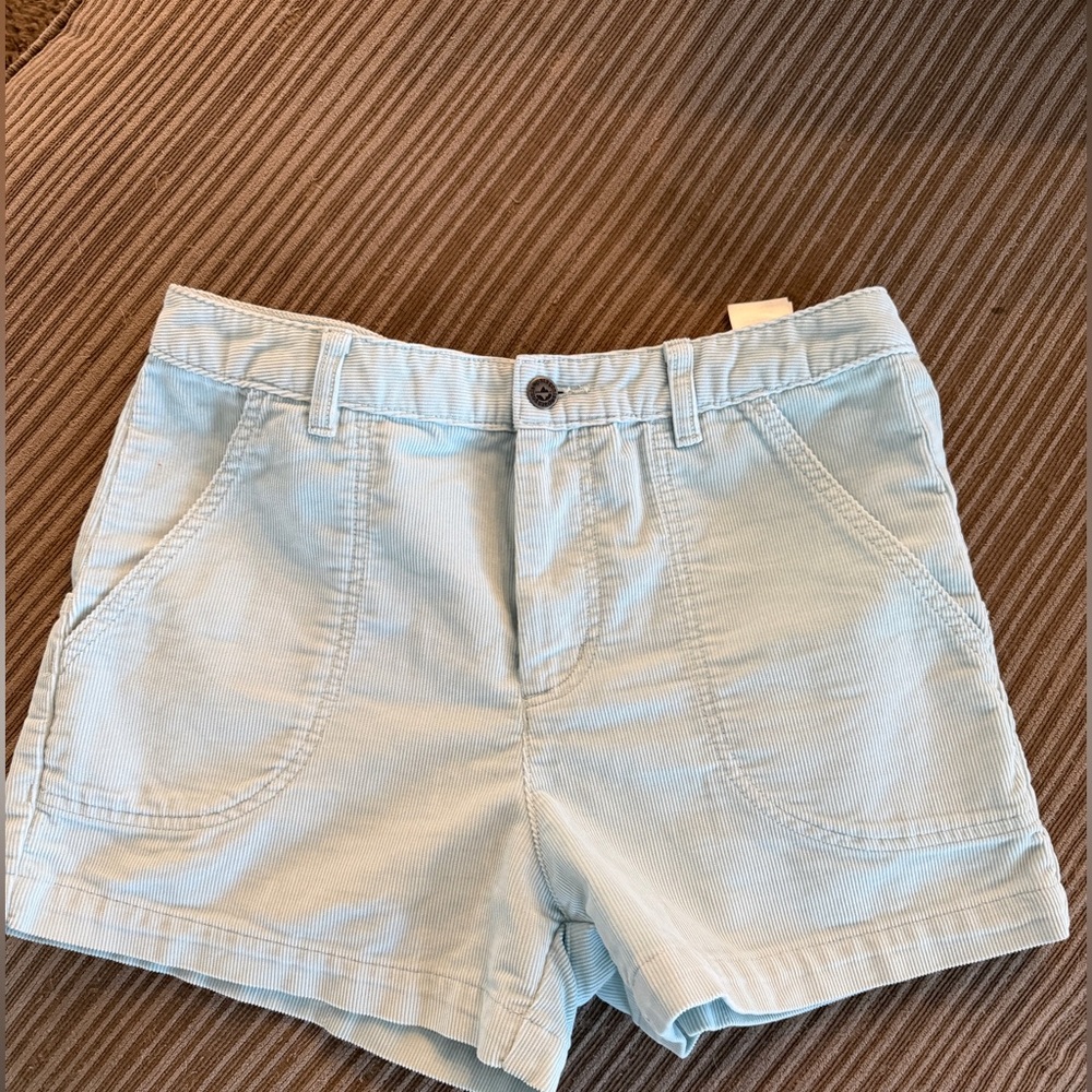 Patagonia Women's Cord Stand Up Shorts size 10 mint color